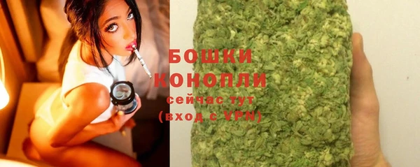соль ск Богородск