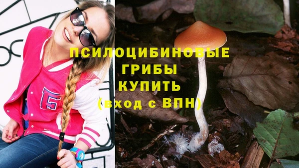 прущая мука Белоозёрский