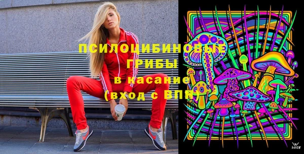 ГАЛЛЮЦИНОГЕННЫЕ ГРИБЫ Беломорск