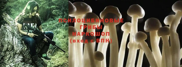 хмурый Богородицк
