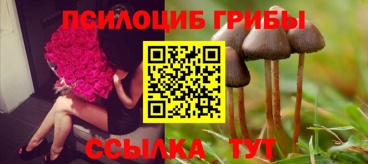 Галлюциногенные грибы Psilocybine cubensis  Галлюциногенные грибы Magic Shrooms  Вход с VPN  Наро-Фоминск 